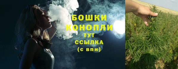 прущий лед Абаза