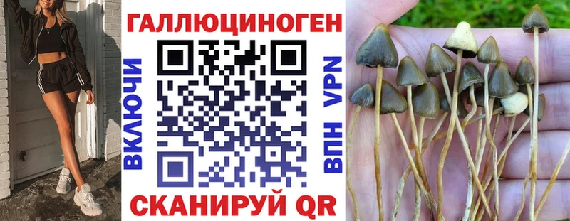 Галлюциногенные грибы MAGIC MUSHROOMS Райчихинск